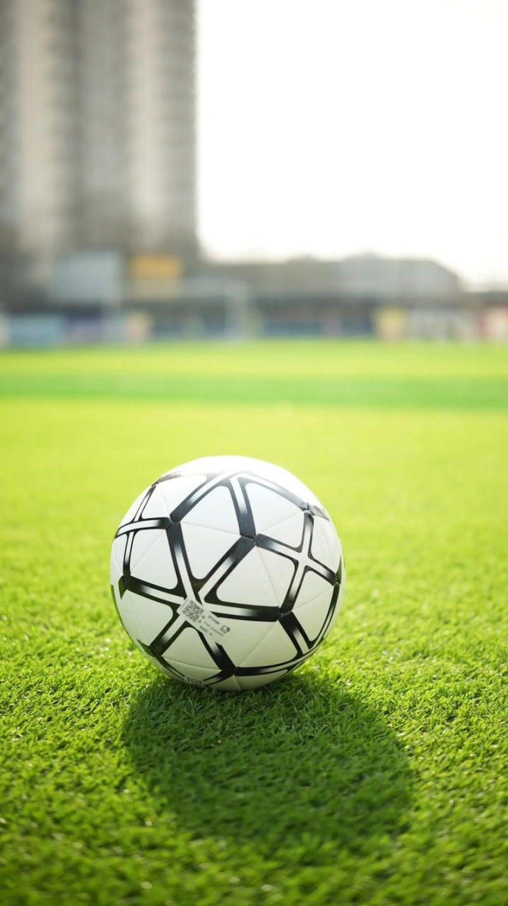 天天盈球免费下载界面展示